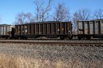 NS 10176